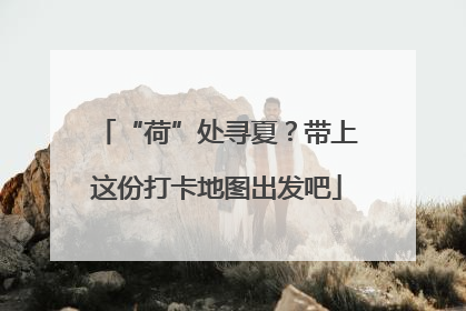 “荷”处寻夏？带上这份打卡地图出发吧